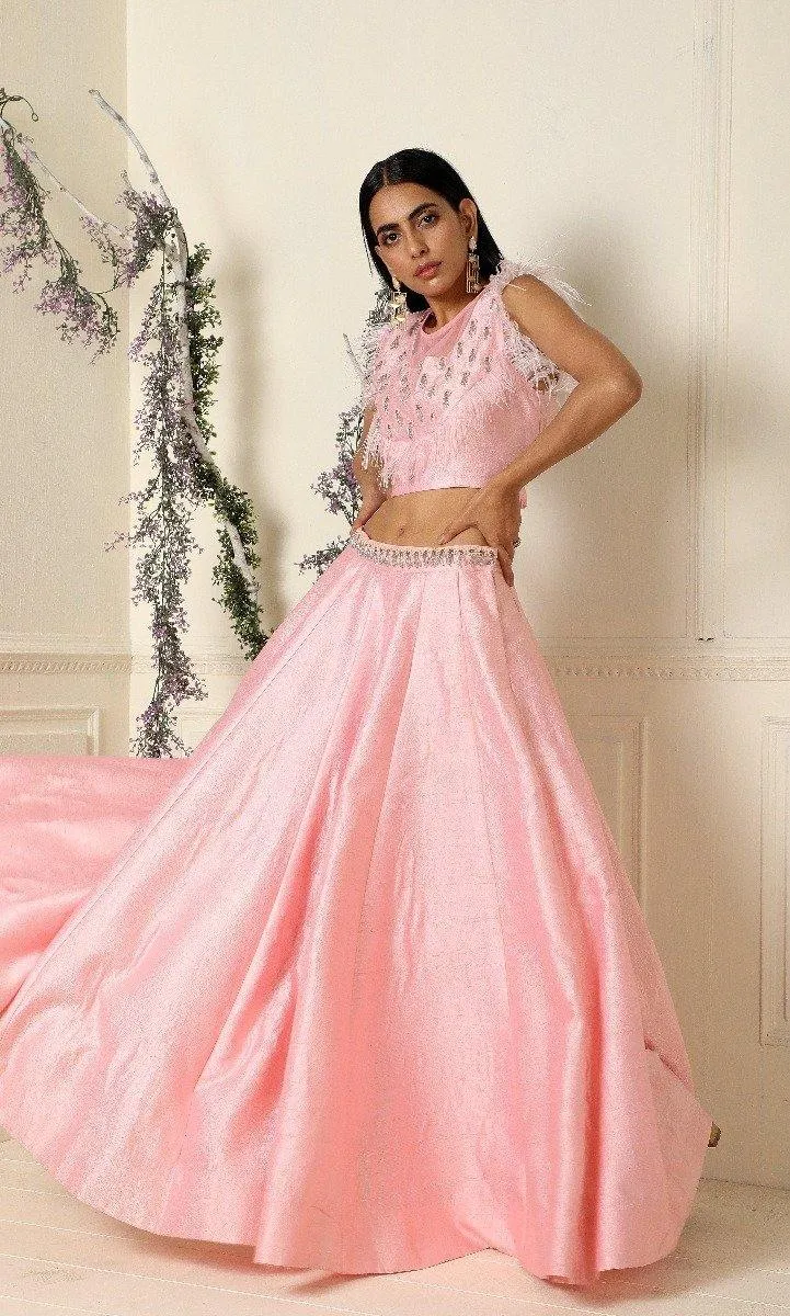 Baby Pink Short Top with Lehenga Set of 2