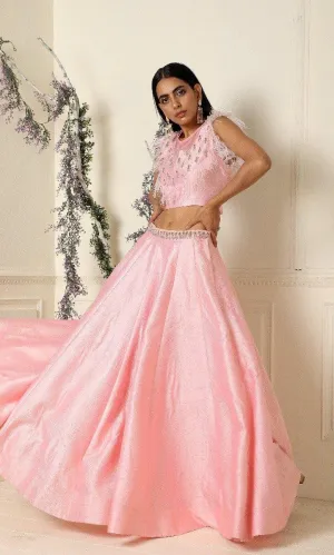 Baby Pink Short Top with Lehenga Set of 2