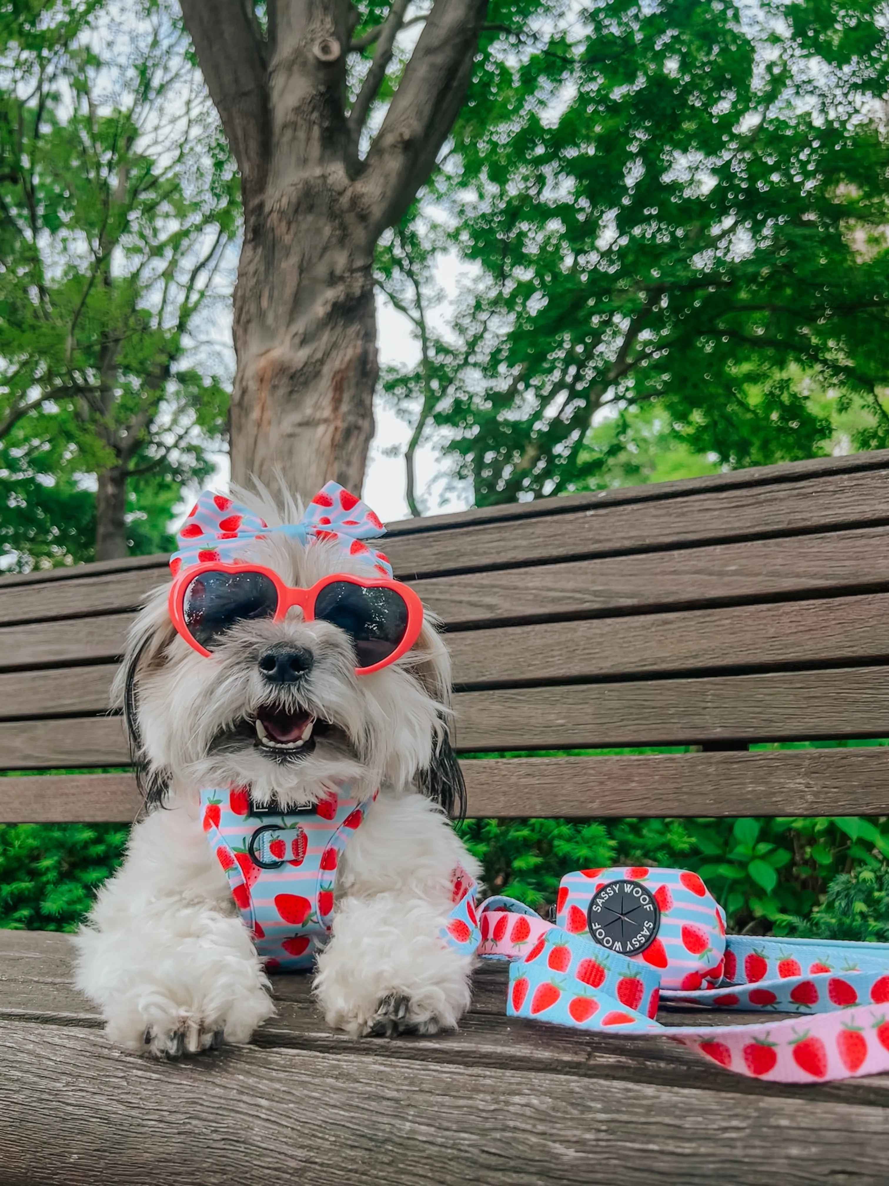 Dog Leash  - I Woof You Berry Much