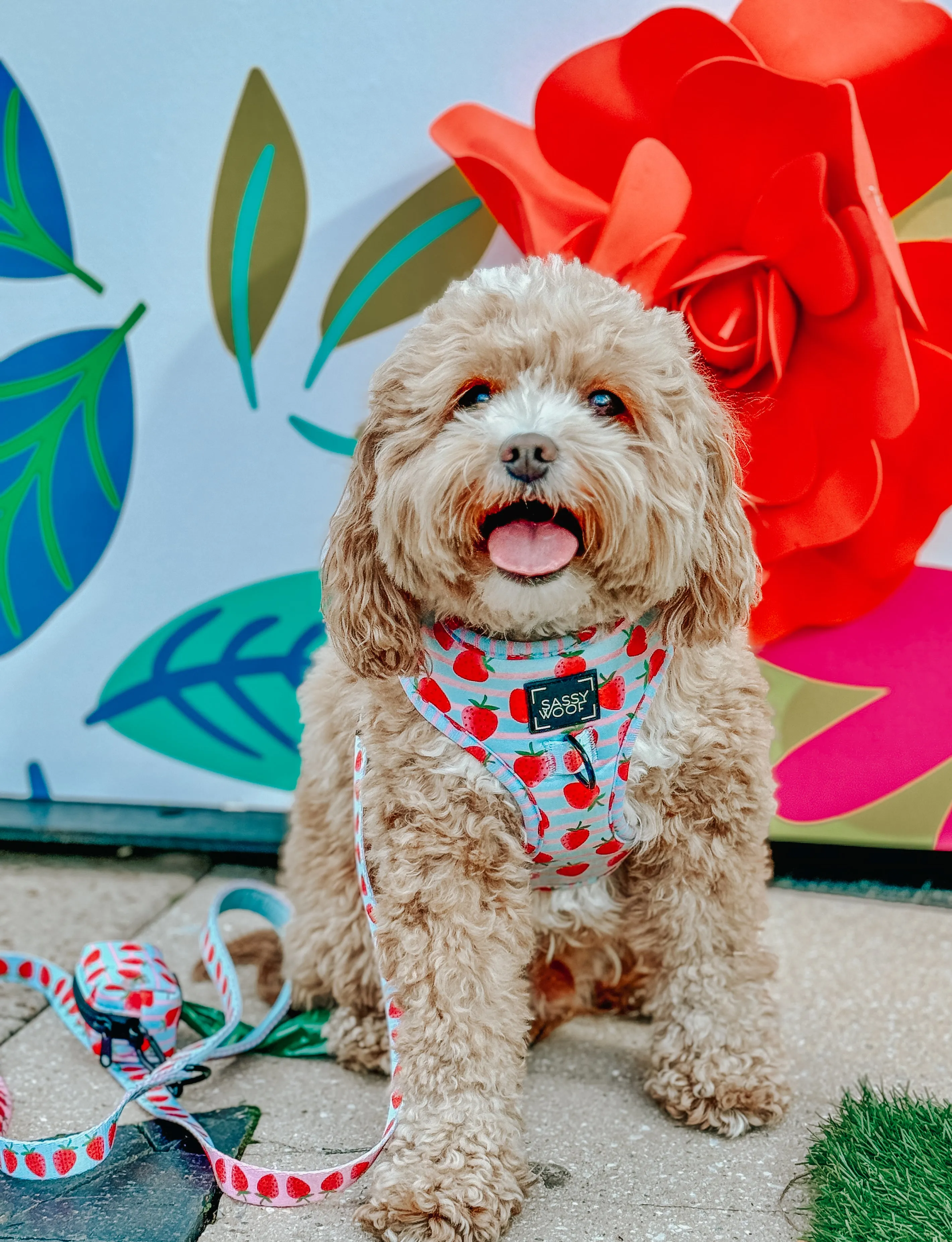 Dog Leash  - I Woof You Berry Much